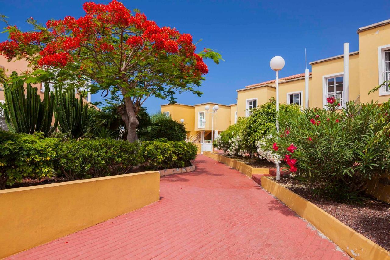 Cozy Apartment Orlando Costa Adeje  Exteriör bild